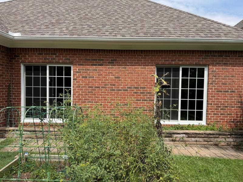 Two new white-framed windows with grids on a red-brick home, behind a backyard garden.
